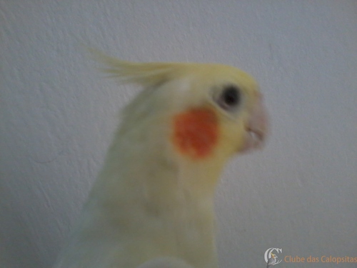 2016-05-21 11.58.37.jpg