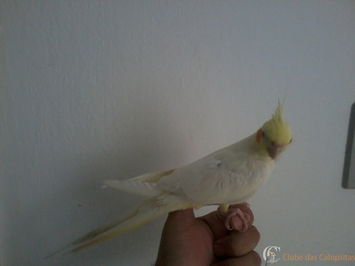 2016-05-21 11.59.00.jpg