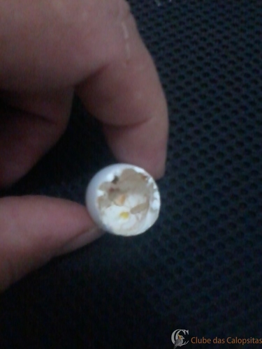 2016-05-21 12.06.30.jpg