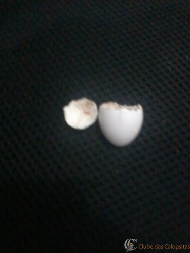 2016-05-21 12.06.39.jpg