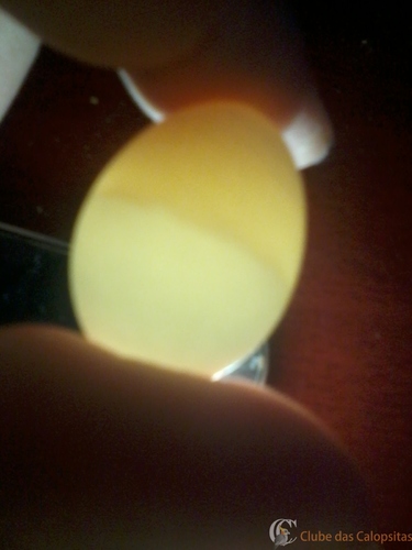 2016-05-21 12.10.24.jpg