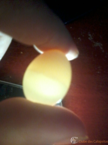 2016-05-21 12.10.35.jpg