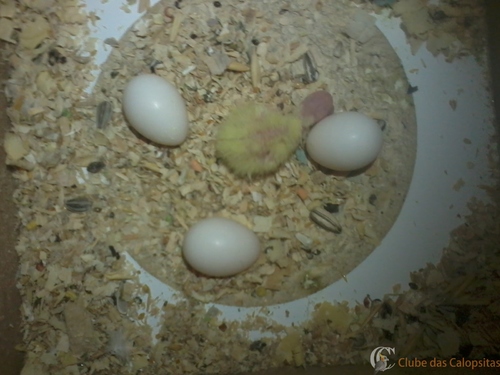 2016-05-21 12.12.07.jpg