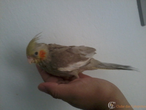 2016-05-21 12.01.06.jpg