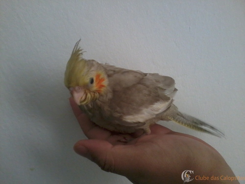 2016-05-21 12.01.10.jpg