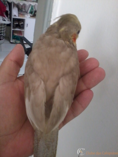 2016-05-21 12.01.27.jpg