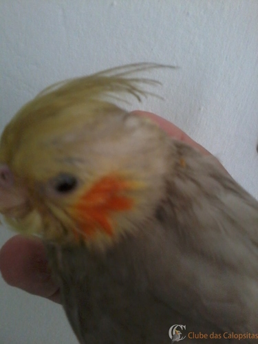 2016-05-21 12.01.57.jpg