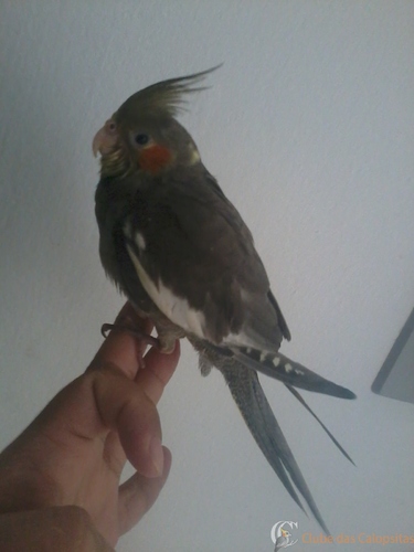 2016-05-21 12.02.43.jpg