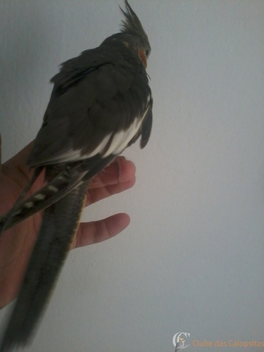 2016-05-21 12.02.50.jpg