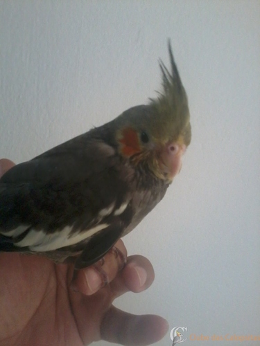 2016-05-21 12.03.02.jpg