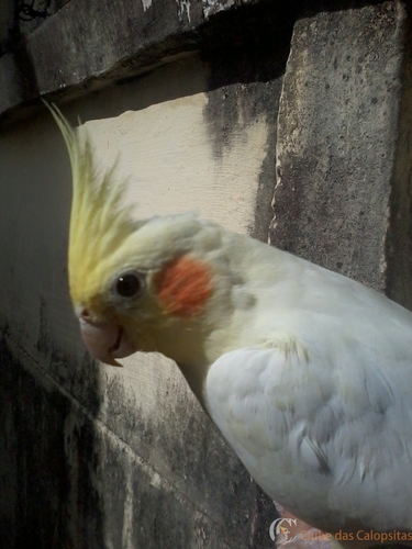 2016-05-21 14.12.55.jpg