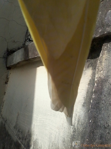 2016-05-21 14.13.07.jpg