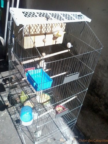 2016-05-23 10.29.49.jpg