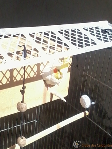 2016-05-23 10.30.01.jpg