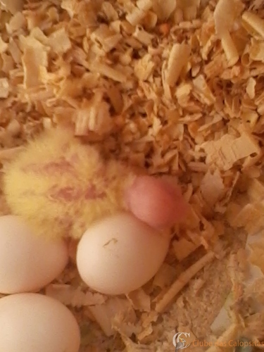 2016-05-23 10.33.17.jpg