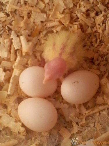 2016-05-23 10.33.25.jpg