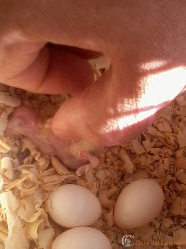 2016-05-23 10.34.53.jpg