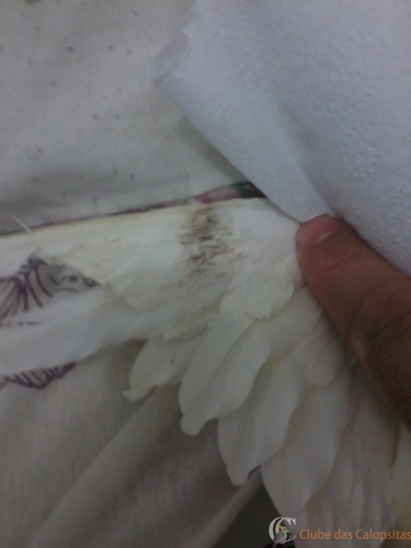 2016-05-23 18.12.20.jpg