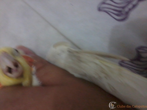 2016-05-23 18.13.14.jpg