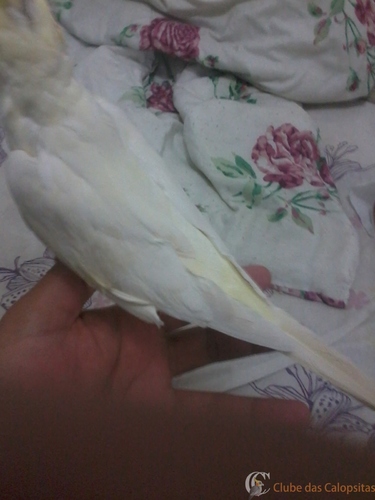 2016-05-23 18.13.30.jpg