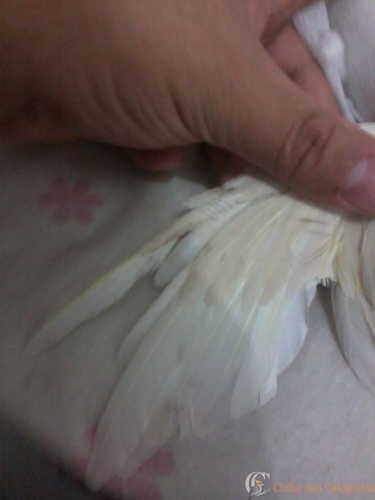 2016-05-23 18.14.52.jpg