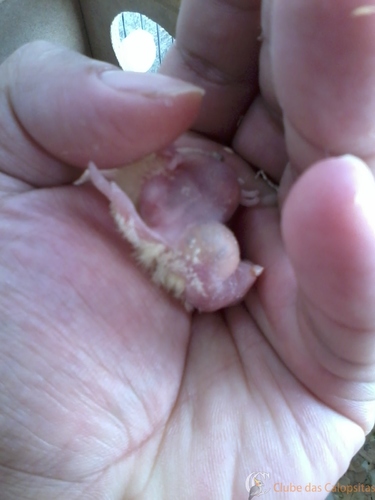 2016-05-24 12.26.25.jpg