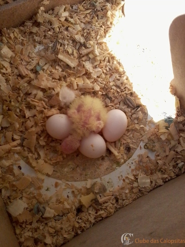 2016-05-25 10.56.36.jpg