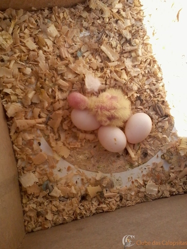 2016-05-25 10.57.08.jpg