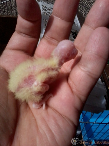 2016-05-26 11.08.27.jpg