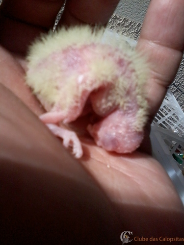 2016-05-26 11.08.37.jpg