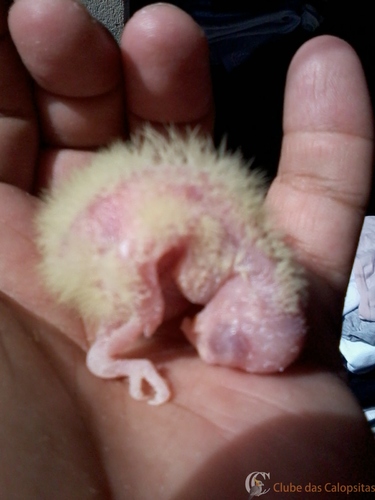 2016-05-26 11.08.46.jpg