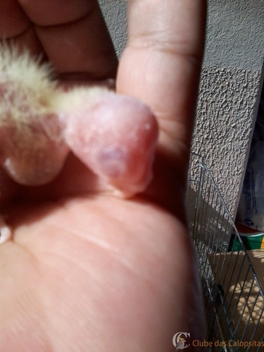 2016-05-26 11.08.59.jpg