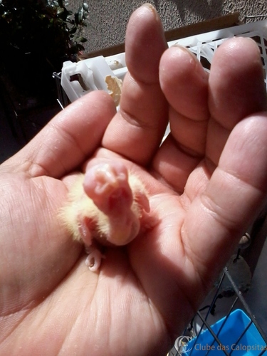 2016-05-26 11.09.22.jpg