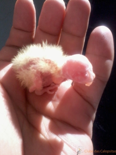 2016-05-27 09.24.47.jpg