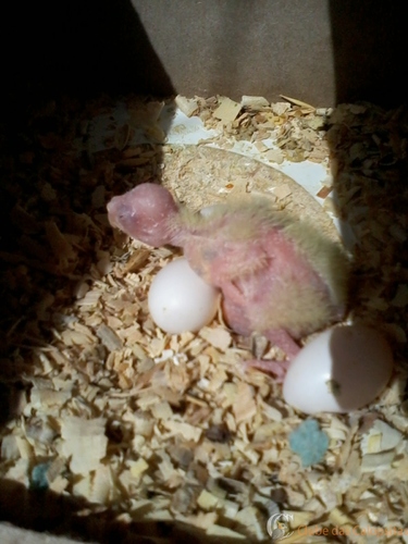 2016-05-28 11.28.49.jpg