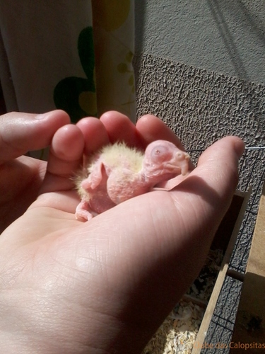 2016-05-29 12.10.27.jpg