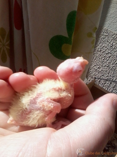 2016-05-29 12.10.37.jpg