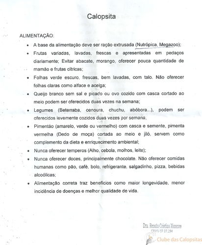 Alimentação0001.jpg