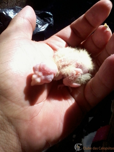 2016-05-30 10.59.31.jpg