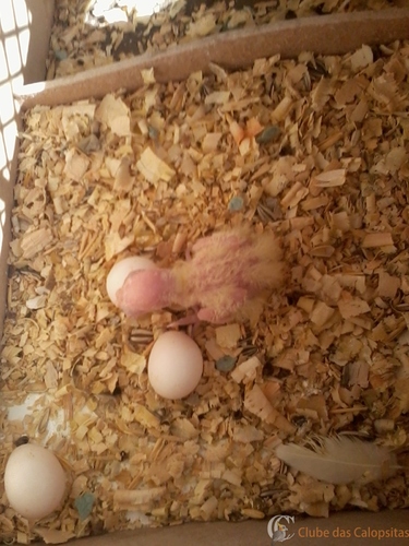 2016-05-30 10.59.06.jpg