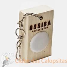 ossiba.jpg
