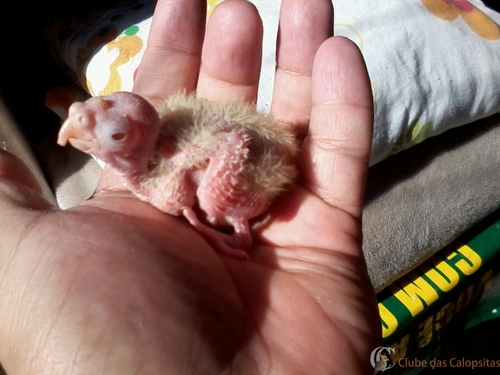 2016-06-01 10.33.47.jpg