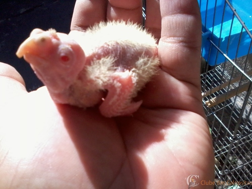 2016-06-01 10.34.03.jpg