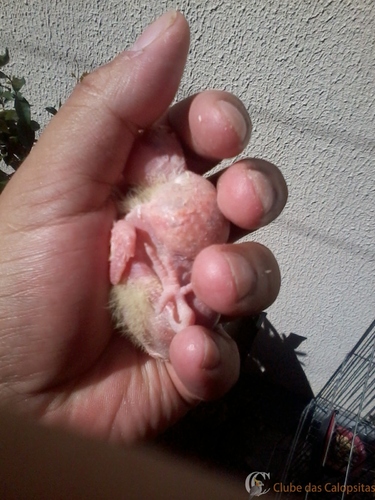 2016-06-01 12.15.50.jpg