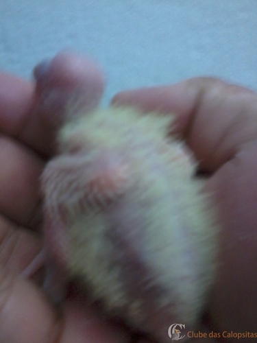 2016-06-02 07.41.31.jpg