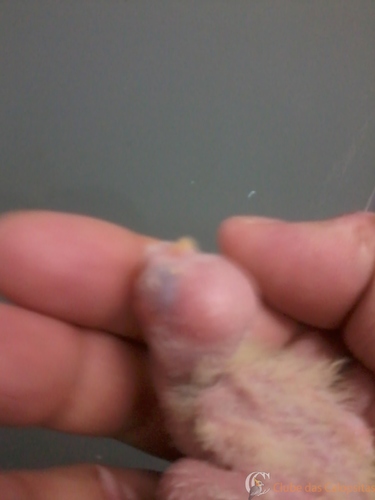 2016-06-02 07.42.05.jpg