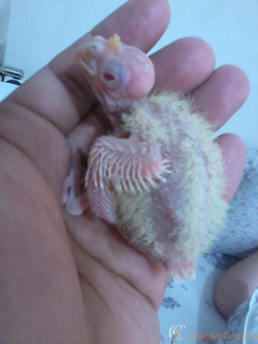 2016-06-03 09.37.00.jpg