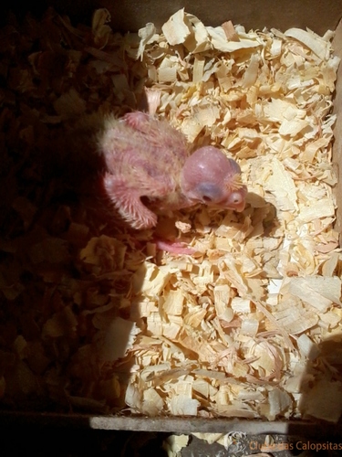 2016-06-04 10.35.54.jpg