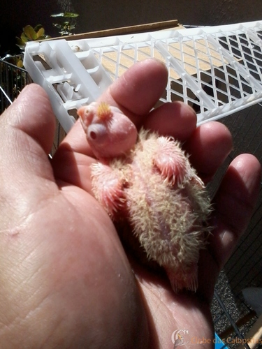 2016-06-04 10.36.46.jpg