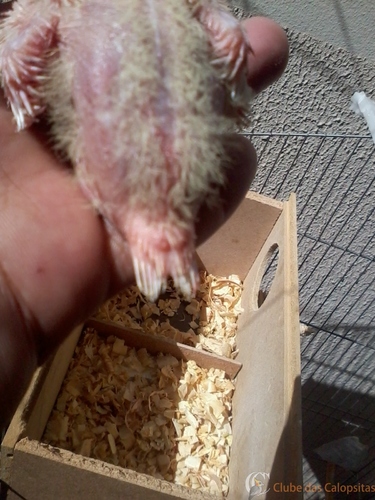 2016-06-05 11.40.19.jpg